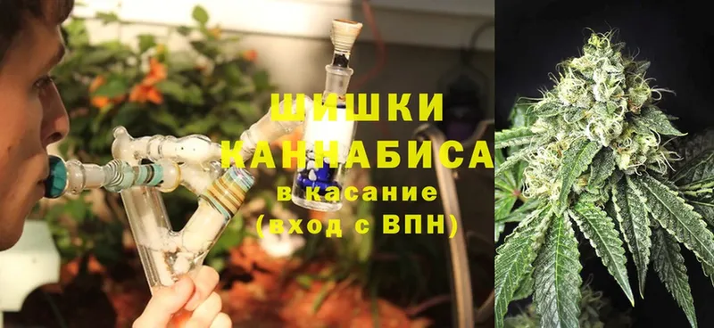 Бошки марихуана Bruce Banner  дарк нет как зайти  Электрогорск  закладка 